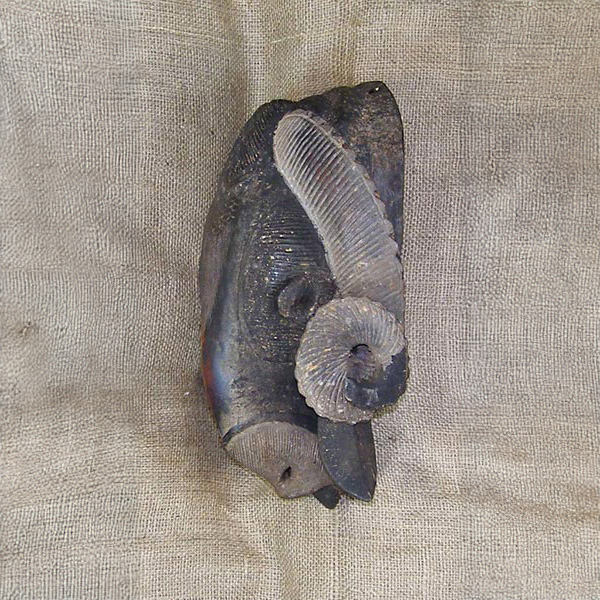 Baule Mask 36 Left