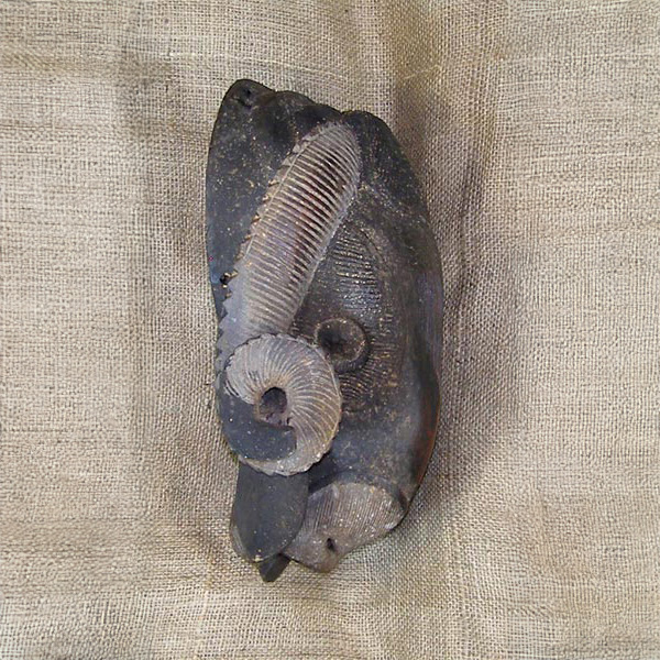 Baule Mask 36 Right Side