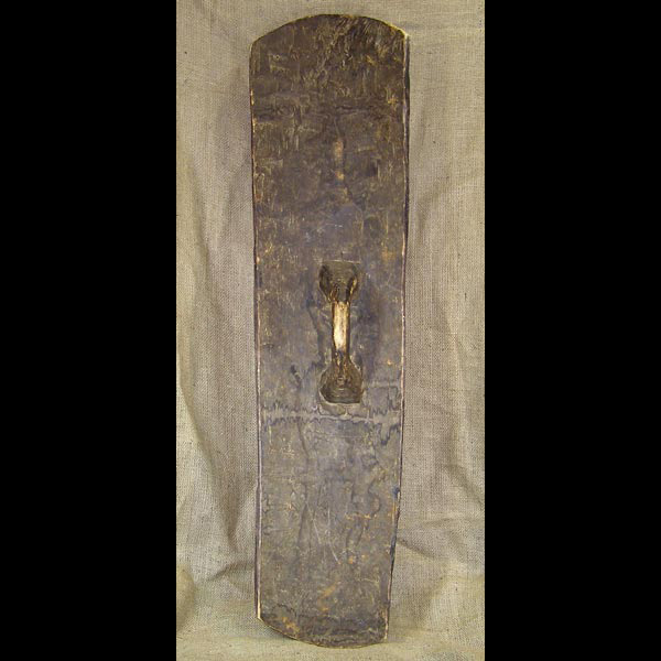 Baule Shield 1 