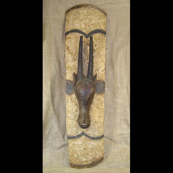 Baule Shield 1 front