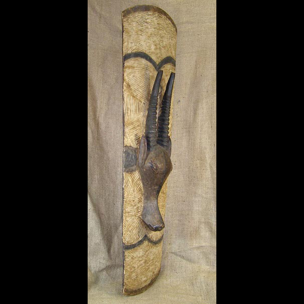 Baule Shield 1 