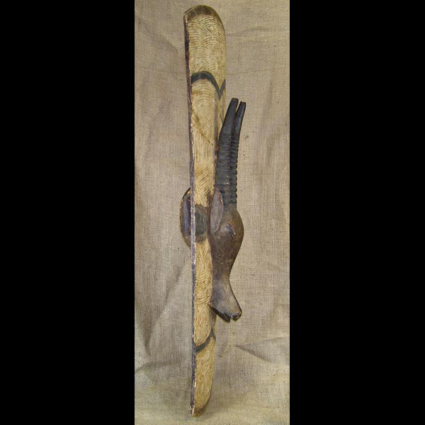 Baule Shield 1 Right Side
