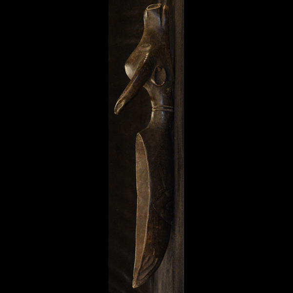 Dan Spoon left side