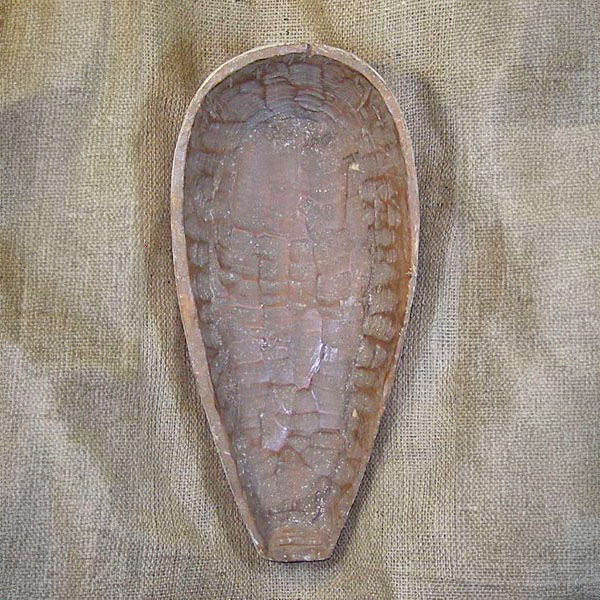 Fang Mask 29