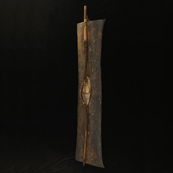 Pokot Shield 2 Left Angle