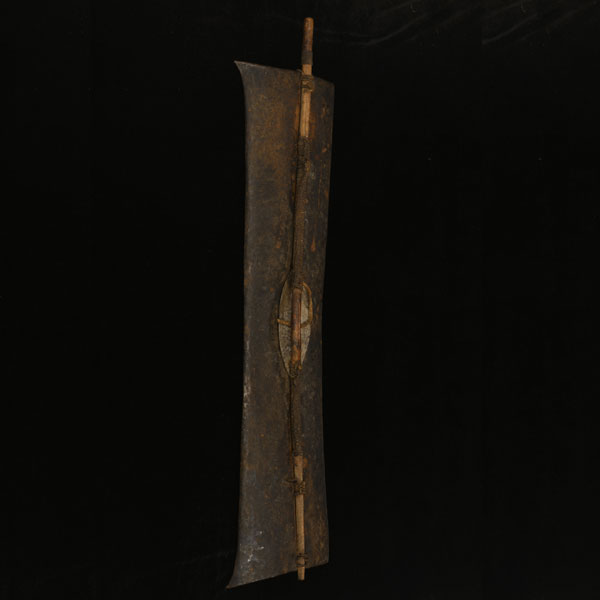 Pokot Shield 2 