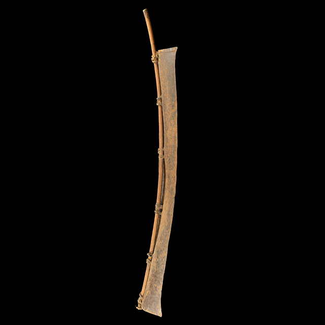 Pokot Shield 12 left side