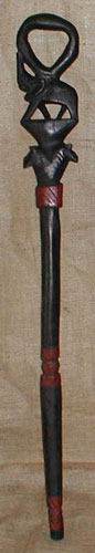 African Walking Stick 1 front