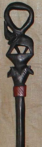 African Walking Stick 1 Left Angle