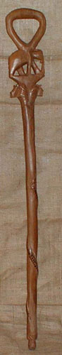 African Walking Stick 4 front