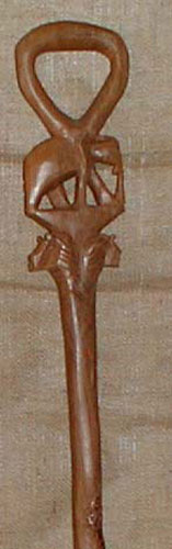 African Walking Stick 4 Left Angle
