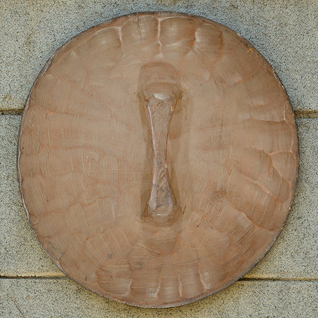 Zulu Shield 16 