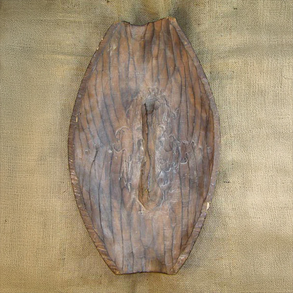 Zulu Shield 6 