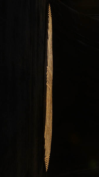 African Zulu shield Right Side
